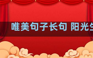 唯美句子长句 阳光生活